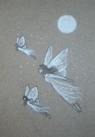 Butterfly Faeries